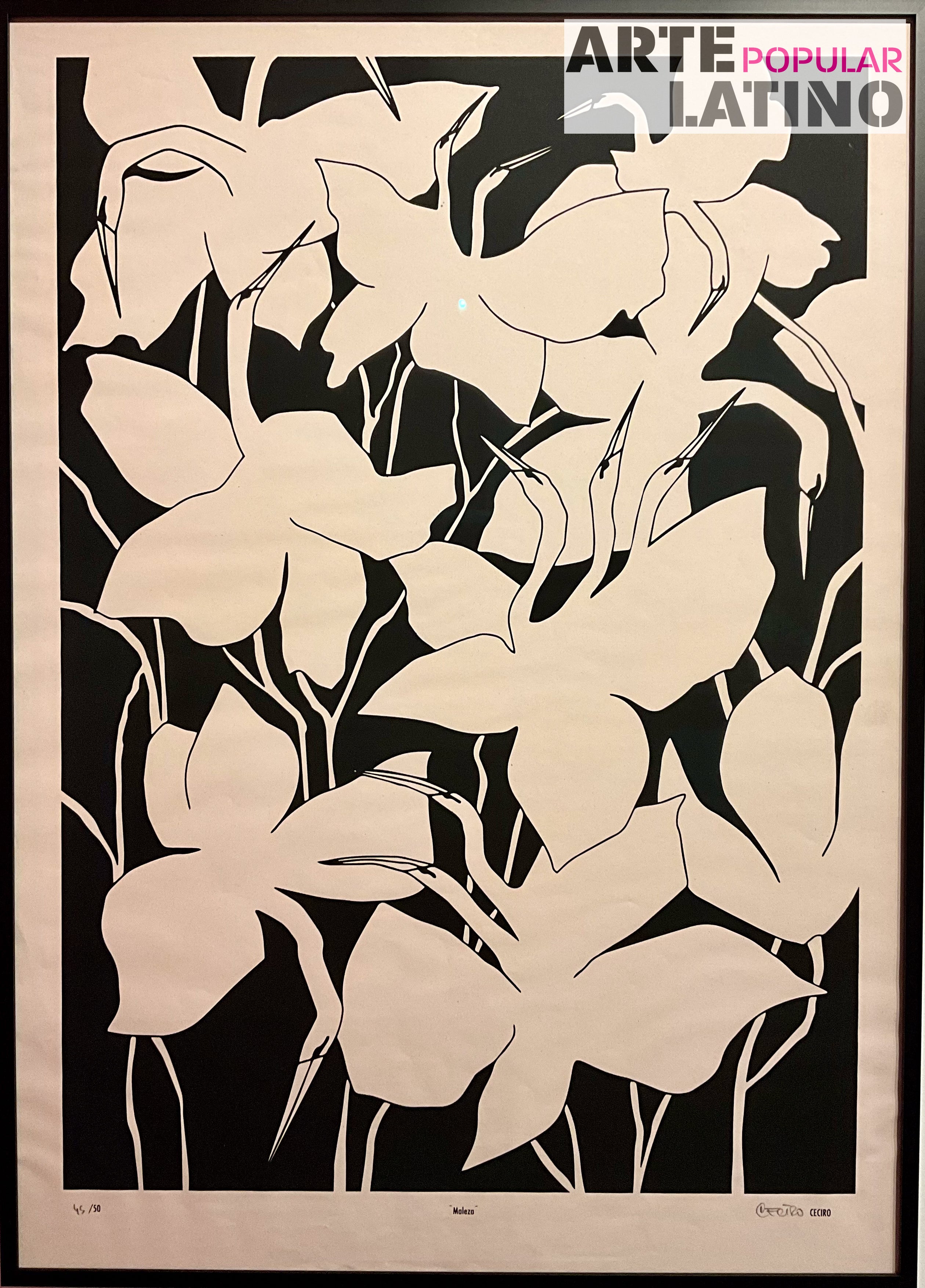 'Maleza - black and white' - CECIRO, 2023